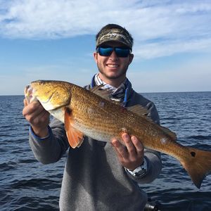 Meet your Posher, Brett's